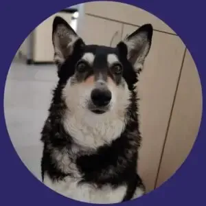 Wickie